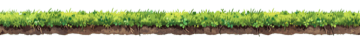 kit/grass