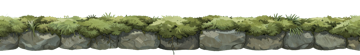 kit/moss