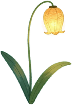 ponds/lantern_lily